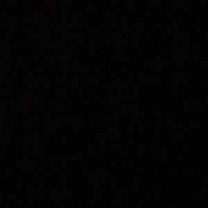 Meet your Posher, Reese